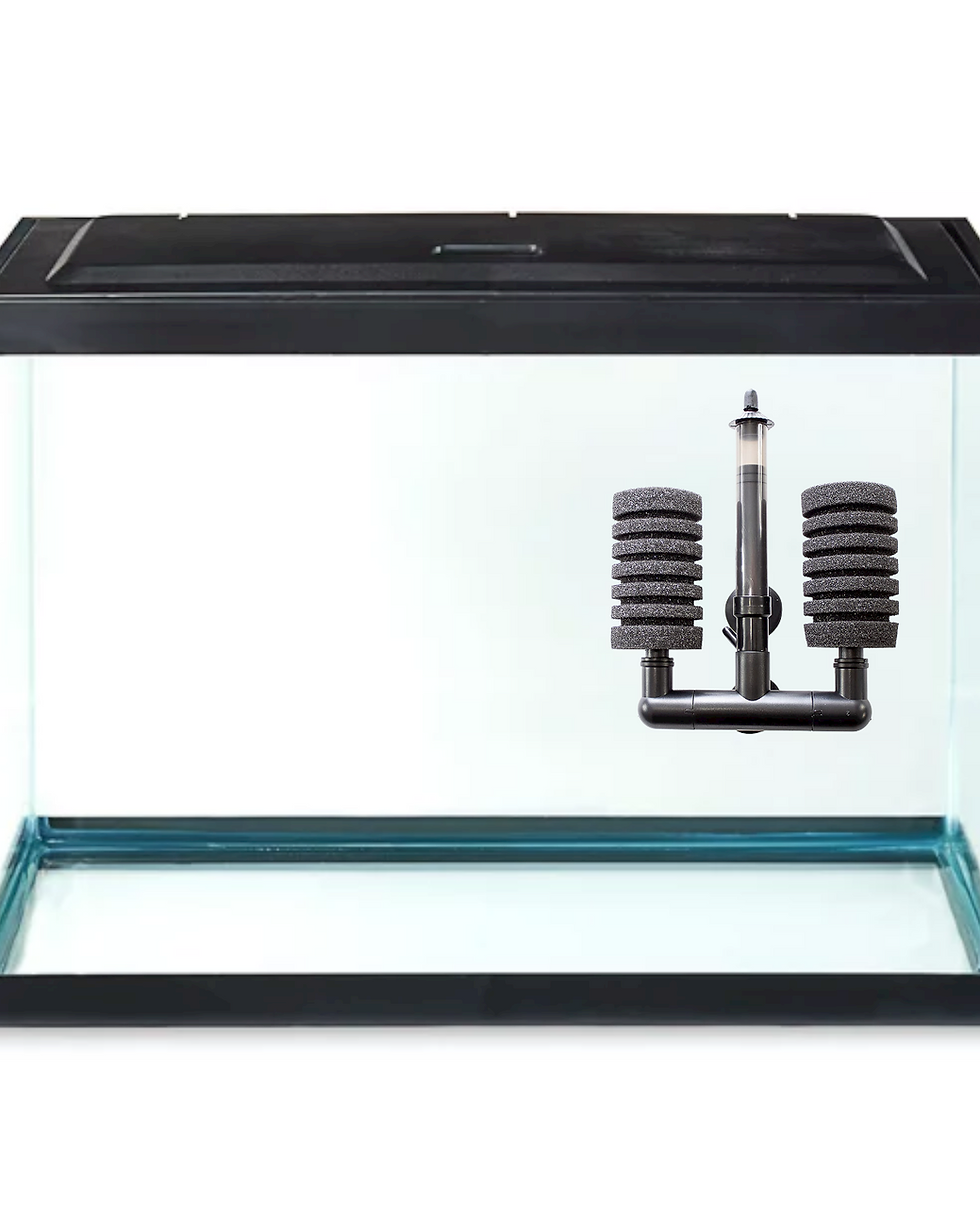 Thumbnail: Penn Plax Air Driven Nano Aquarium Sponge Filter Part #ONF1