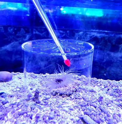 Thumbnail: Coral Feeding Station Encloser 4" x  4" / Part # AQ-CPC-120