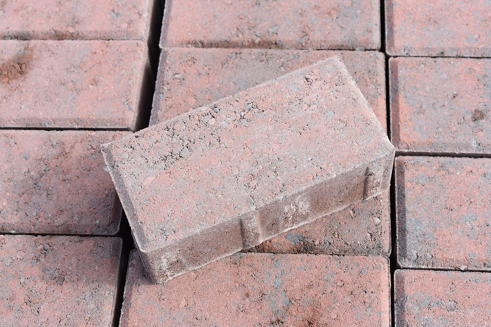 Holland Pavers Rustic 4x8