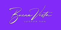 Buena Vista Lavender Farm 2025.jpg