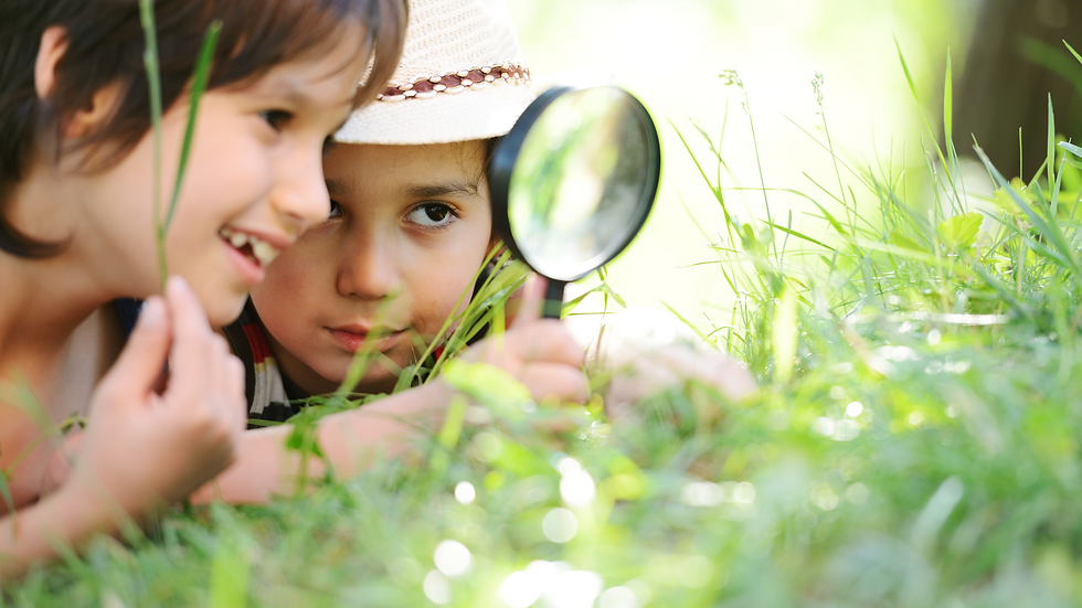 The Environment as the Third Teacher