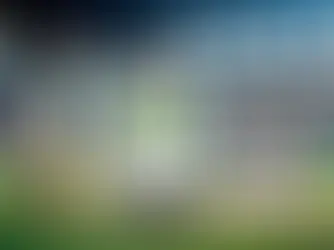 Instagram Bio for Cricket Lovers