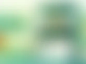 WhatsApp About Lines