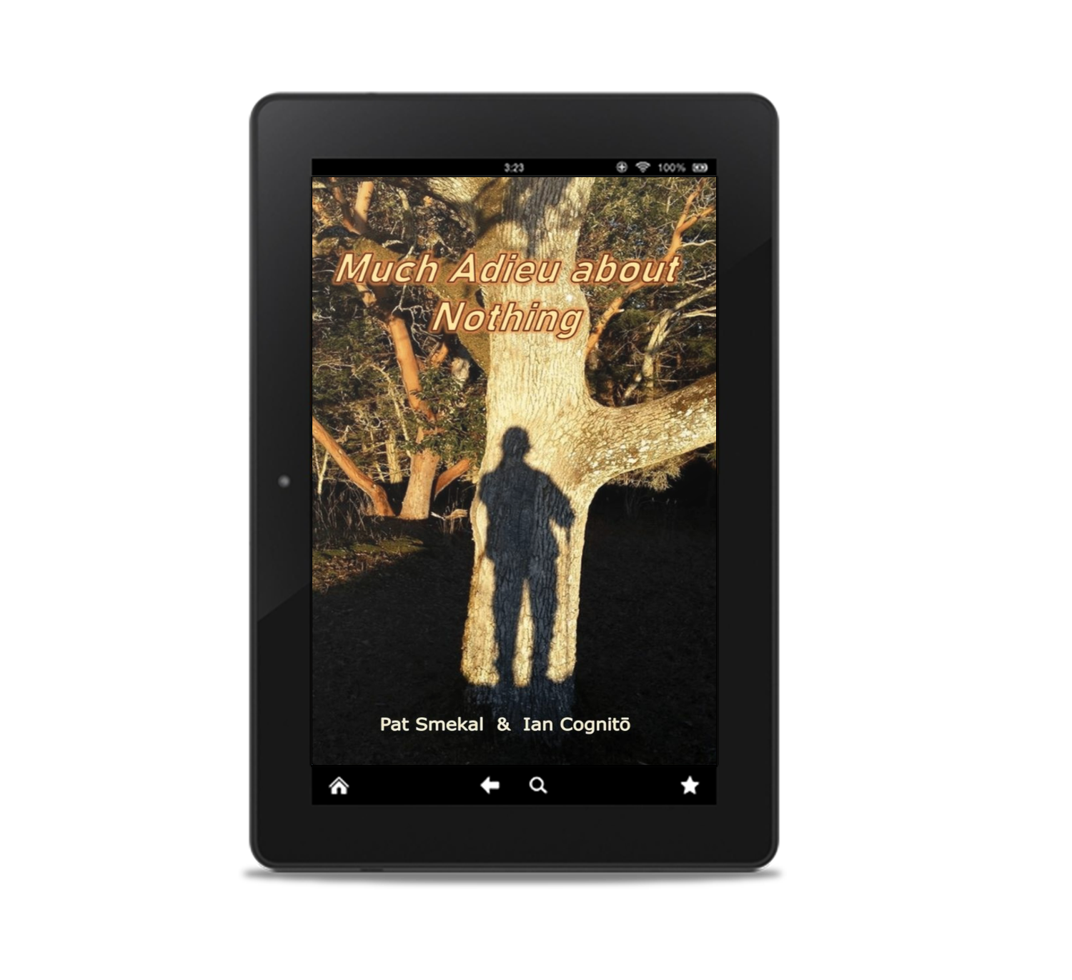 Much Adieu About Nothing (eBook)