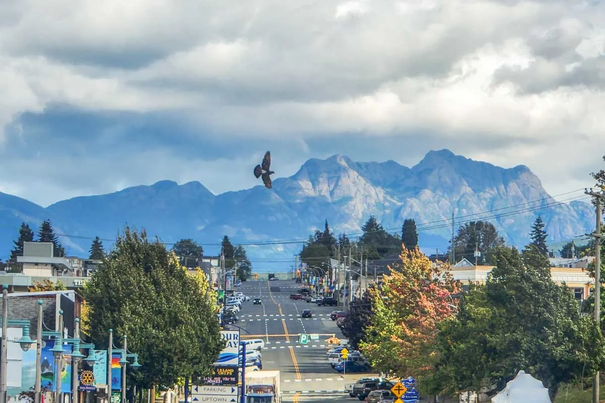View-of-the-road-with-a-mountain-backdrop-in-Port-Alberni-BC.jpg.webp