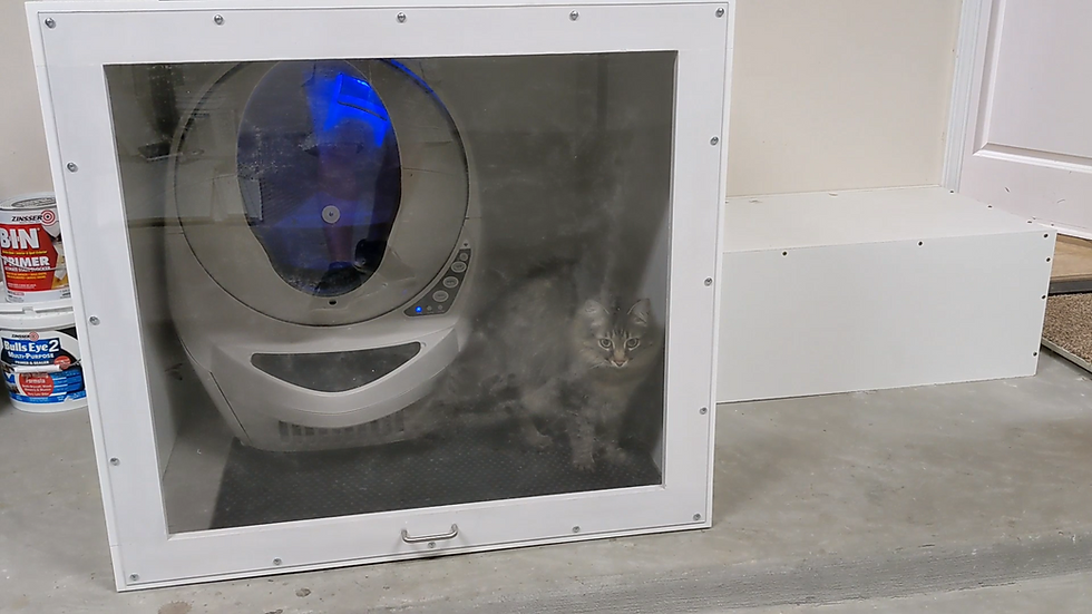 cat inside of the litter box enclosure