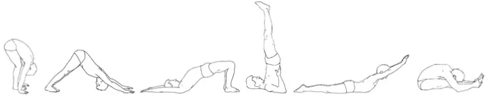 vinyasa example.webp