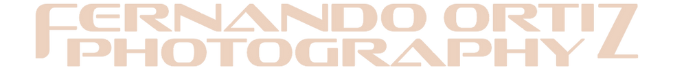 fortizletterheadwhite_edited.png