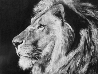 Artist Profiles: Paul