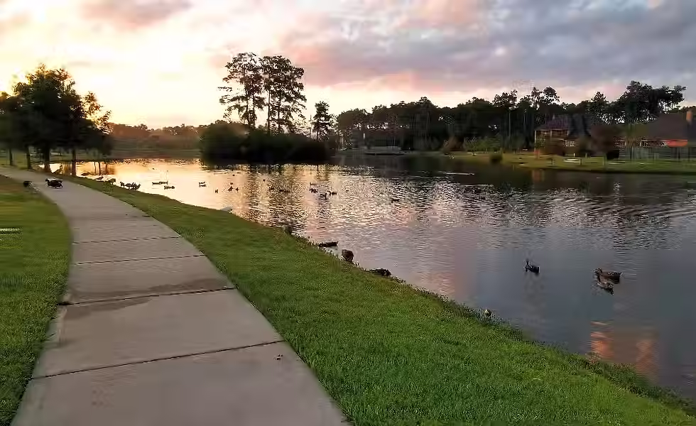 peaceful stream in conroe tx neighborhood with walking trail and trees
