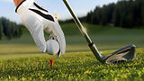 foto golf .jpeg