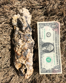 No Grease in Your Sinks!