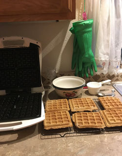 Sourdough Buckwheat Waffles