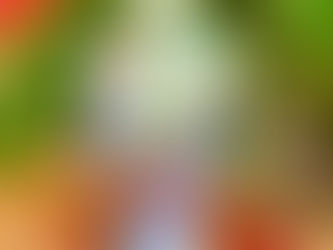 Mai bình tích lộc khổng tước phú quý vẽ vàng men trắng