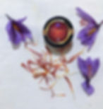 IMG-20211109-WA0014_edited
