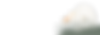 footer grass.png