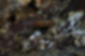 DSCF1420.JPG
