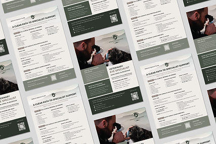 Flyer_Brochure Mockup.png