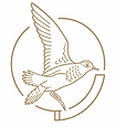 ChatGPT Image 7 de jul. de 2026 17_15_14.png