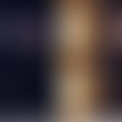አራት የፕላኔታዊ ስርዓት ዓይነቶች