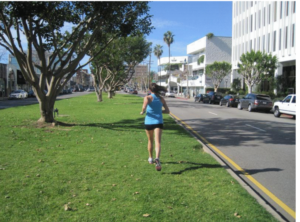 San Vicente grass median