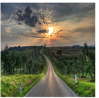 The Long Run
