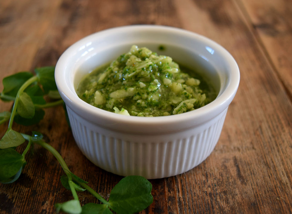Thumbnail: Pea Shoot Pesto 170g