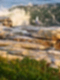 Griffins Head