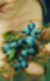Blueberries