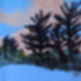 Pines at Winnegance Pond