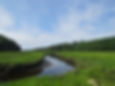 Big Salt Marsh