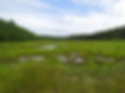 Big Salt Marsh