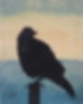 Raven at the Sea