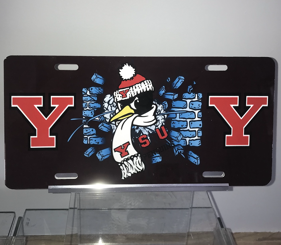 YSU License Plate