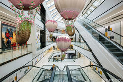 Концепт-проект