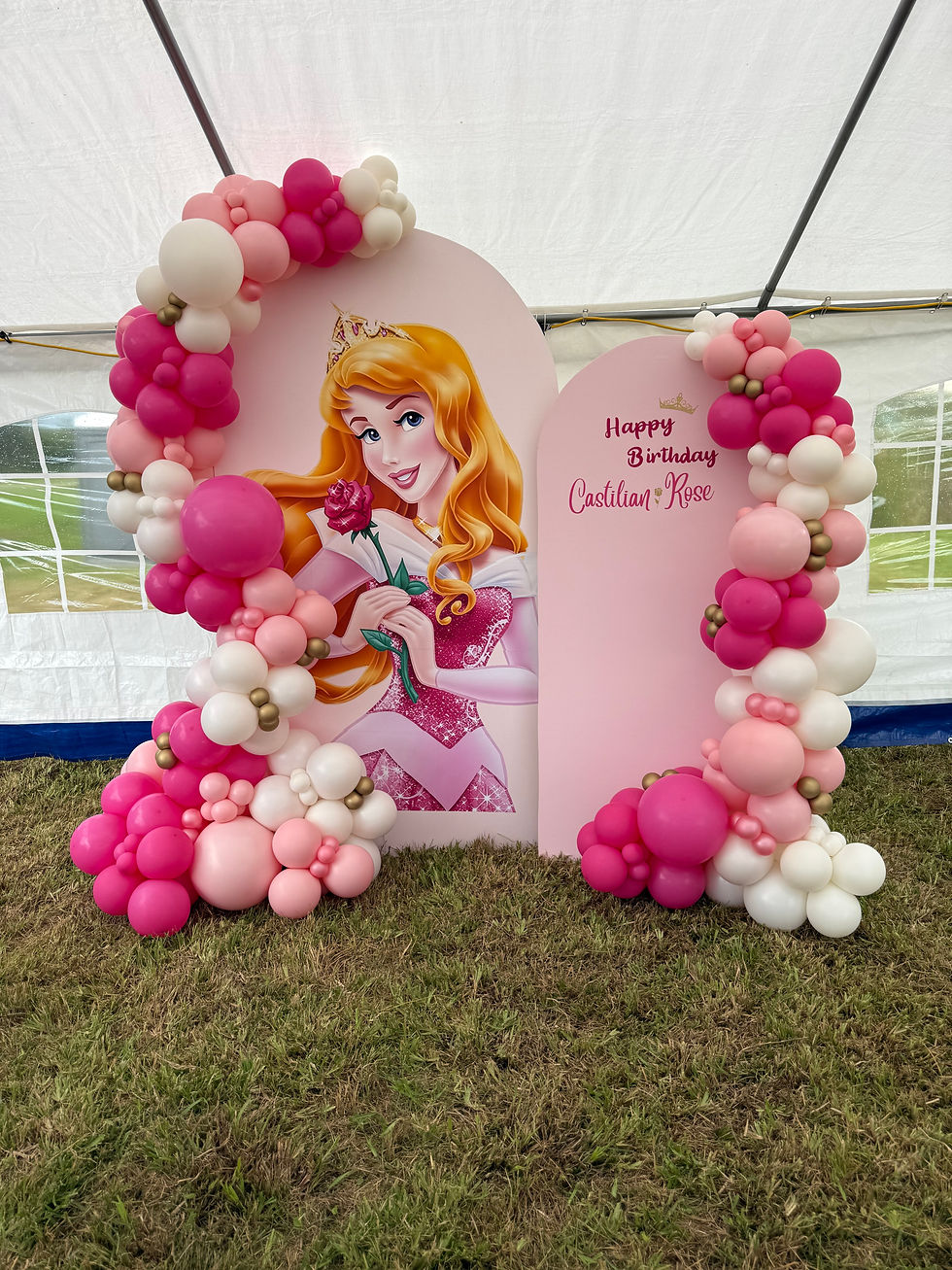 Princess Aurora Backdrop