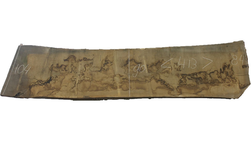 Boomstamblad | Eiken | Lengte 413cm | Dikte 8cm | E004