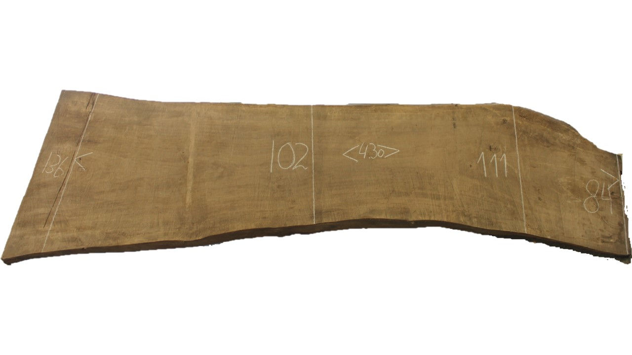 Boomstamblad | Populier | Lengte 430 cm | Dikte 8 cm | P002