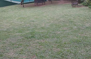 WhatsApp Image 2024-10-09 at 17.25.06 (1).jpeg