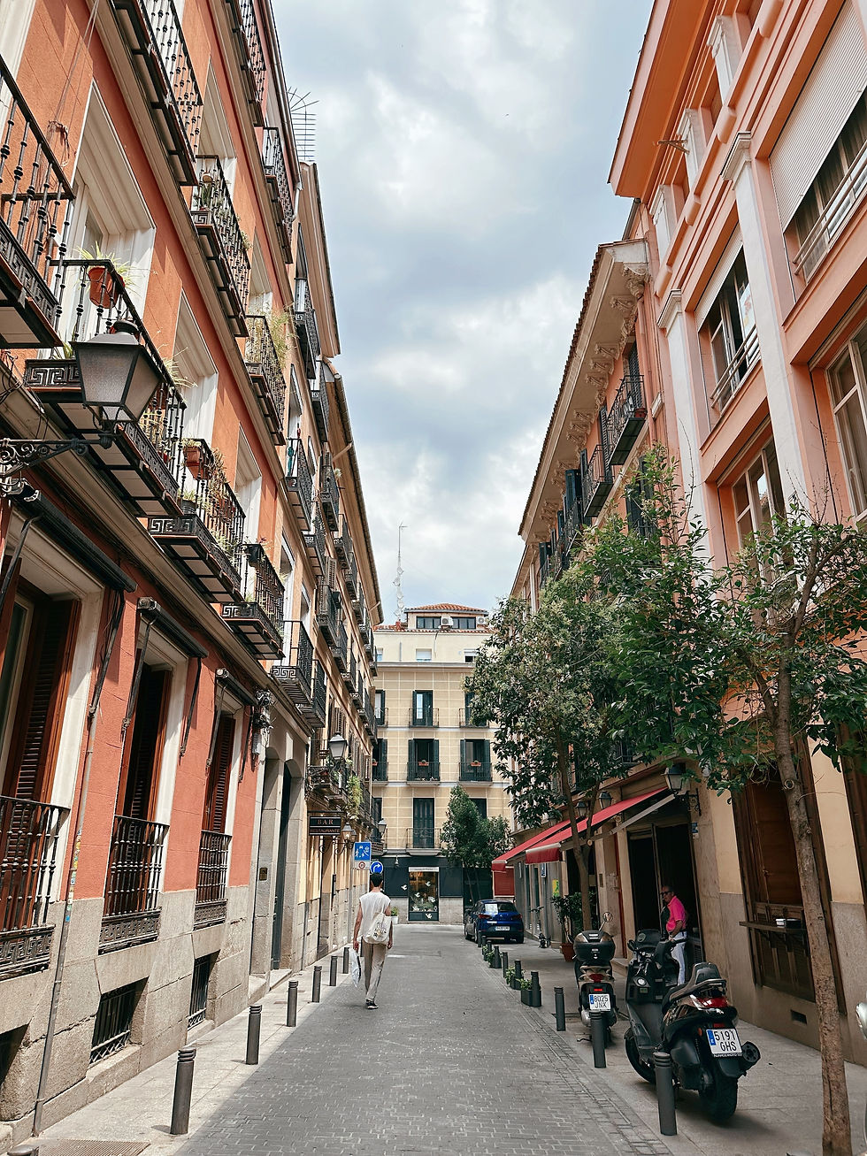 recorriendo las calles de la ciudad capital de madrid españa de viaje