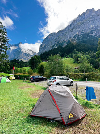 carpa gris armada con montañas de fondo en el verano de suiza en grindelwald