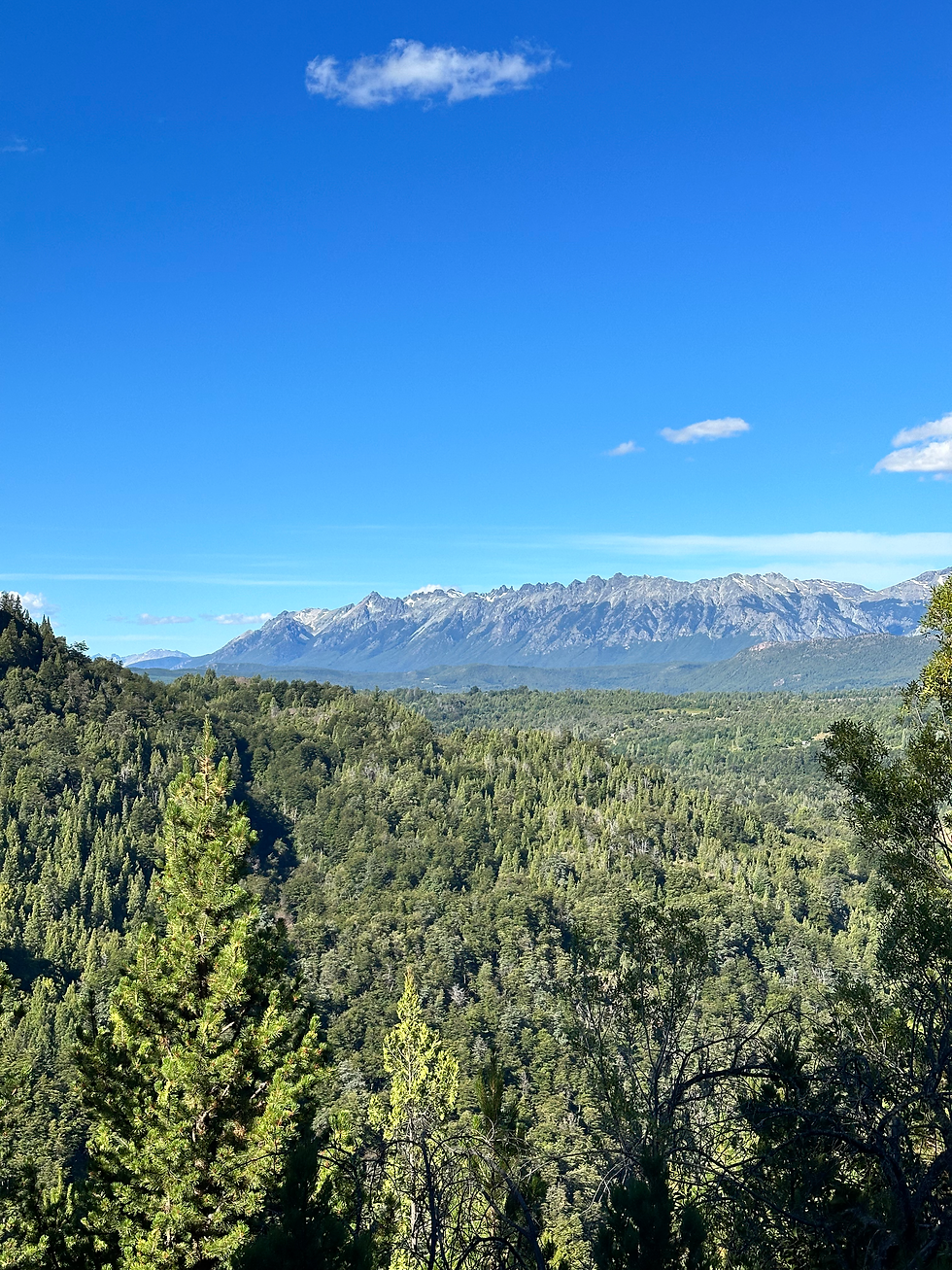 vista a la montaña y bosque desde un mirador en el cajón del azul en el bolson argentina