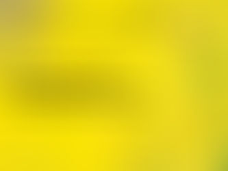 Bee Research & Extension