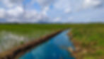A ditch between two fields of sprouting green plants is full of water. The adjacent fields are also flooded with water. The sky is blue and full of white, puffy clouds. Power lines run stretch across the photo and a mountain range is visible in the distance. iStock photo.