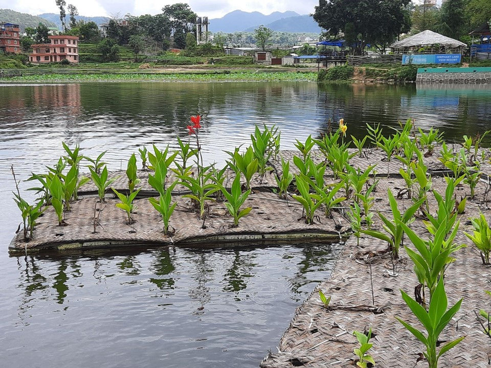 A mat made from woven bamboo and repurposed foam materials floats on the surface of a wetland. Green plants grow up through holes in the mat. In the background, the buildings and trees of a town in Nepal are visible. Photo by Samayak Prajapati, The Small Earth Nepal.