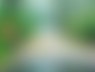 Die Potenziale Künstlicher Intelligenz im Katastrophenmanagement