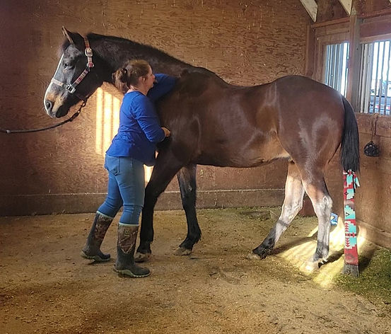 Melissa massaging horse