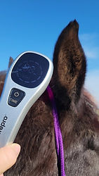 Red Light Therapy Tool