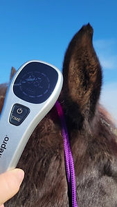 Red Light Therapy Tool