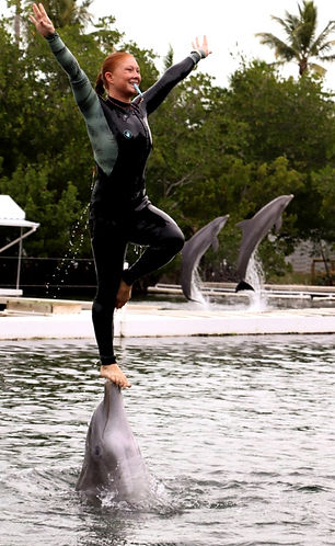 glowing geckos dolphin nicole peterson about_edited.jpg